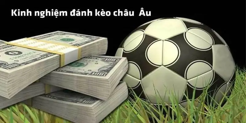 Mẹo phân tích kèo châu Âu tại 77win chuẩn không cần chỉnh 